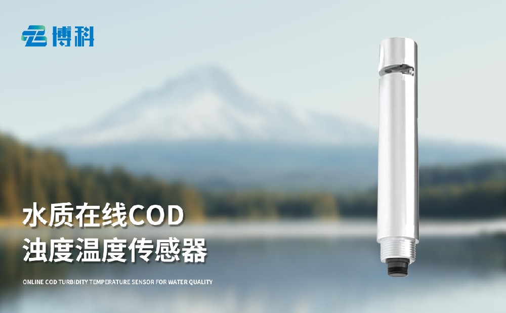 水質(zhì)在線cod濁度傳感器